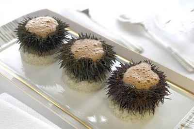 comment cuisiner oursin