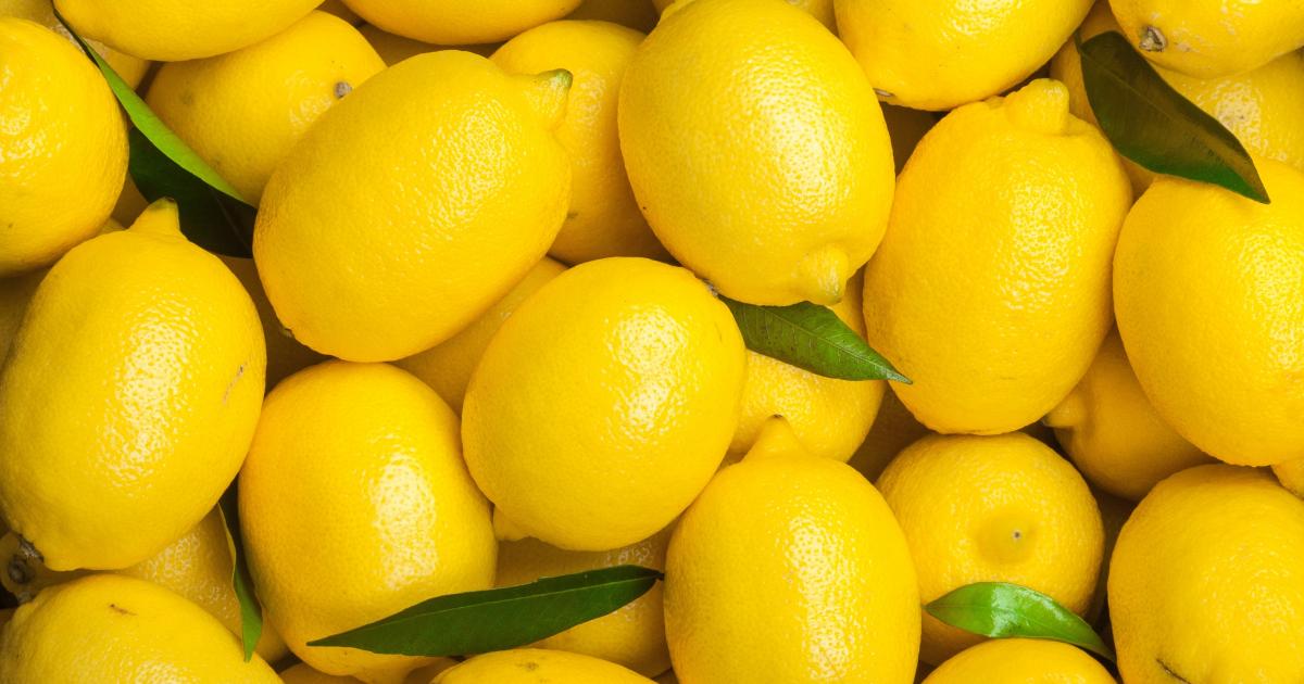 Voici Pourquoi Vous Devriez Toujours Garder Vos Citrons Au Frais G