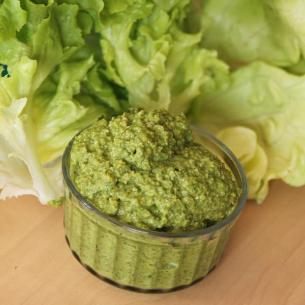 Recette , Pesto de salade verte (laitue et feuille de chêne) à la pistache