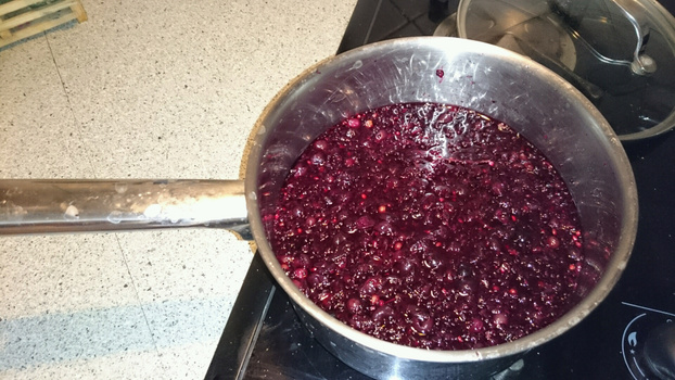 Recette - Sirop de cassis | Notée 4.2/5