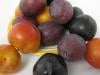 10 choses à savoir sur les prunes