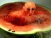 TOP 10 des sculptures sur fruits les plus insolites