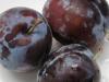 10 choses à savoir sur les prunes