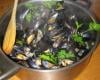 Moules au vin blanc et persil