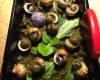 Aumônières d'escargots et de grenouilles