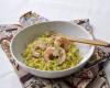 Risotto de coquillettes au bouillon de crustacés & gambas