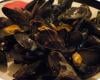 Moules marinières économiques