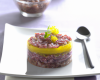 Tartare de canard, mangue et sardine marinée, de Fabrice Biasolo