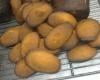 madeleines à l'orange