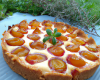 Tarte aux mirabelles au thermomix