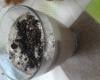 Milk-shake Oreo