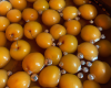 Mirabelles à l'eau de vie