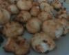 Rochers noix de coco inratables