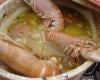 Tajine de joues de lotte aux abricots et langoustines