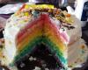 Rainbow cake Frenchie