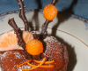 Tarte choco/orange