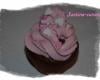 Cupcake chocolat et framboise