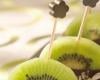 Sucettes de kiwi de l'adour au chocolat IGP