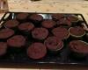 Muffins gourmands au chocolat