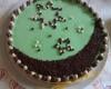 Bavarois menthe chocolat