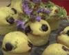 Muffins pistache-myrtille-violette