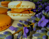 Macaron Provence : amandes, abricots, lavande