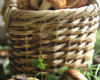 Paniers aux champignons des bois