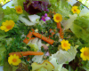 Salade de mon jardin secret