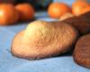 Madeleines à la mandarine de Calabre