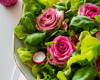 Salade rose et verte