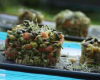 Tartare de saumon aux graines germées et fondue de poireaux au pesto