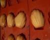 Madeleines au miel simples et bonnes