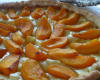 Tarte Ledun aux abricots