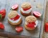 Choux fraises du Périgord IGP et chantilly