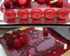 Entremet chocolat blanc - framboise