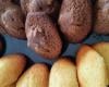 Madeleines au Nutella