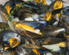 Moules marinières maison