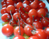 Tomates cerises pommes d'amour