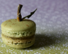 Dans le 'secret' des macarons