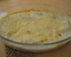 Endives au gratin