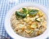 Risotto aux deux courgettes et scamorza fumée