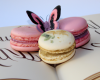 Macarons Papillon