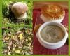 Soupe de champignons d'automne surprise