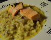 Risotto à la citronnelle et au beurre d'algue, pavé de truite des Pyrénées à l'unilatérale