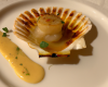 Coquille St-Jacques au champagne