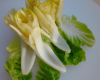 Endive surprise