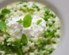 Risotto aux petits pois, menthe, cheddar et cottagecheese