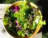 Salade du jardin