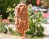 Magnum fait-maison version healthy