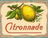 Citronnade économique